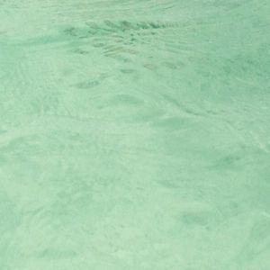 Meet your Posher, Marilyn